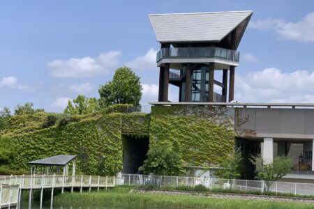 兵庫県立考古博物館の建物🤗