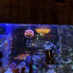 ミナミのお店