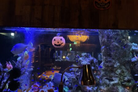 ミナミのお店