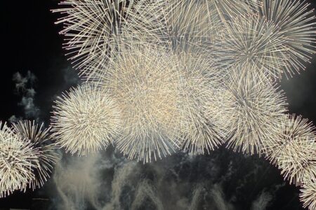 淀川花火大会🎇🎆